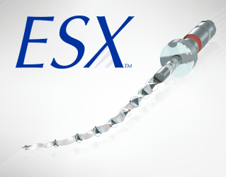 ESX-Promo